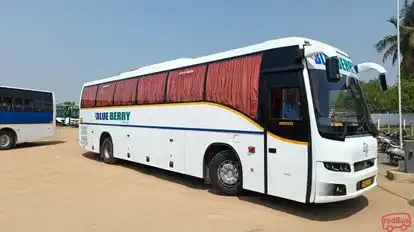 BLUEBERRY Bus-Side Image