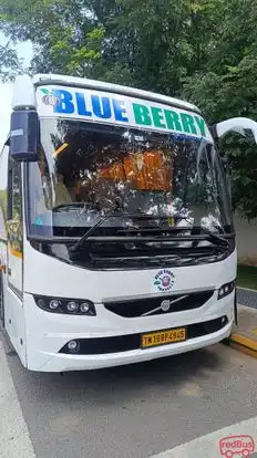 BLUEBERRY Bus-Front Image