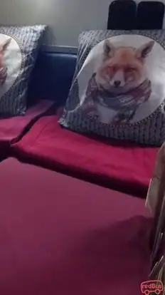 Kalaimakal Travels  Bus-Seats Image