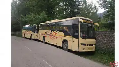 Manali Travel Point Bus-Side Image