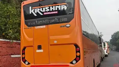 KRSNA Travels Bus-Side Image