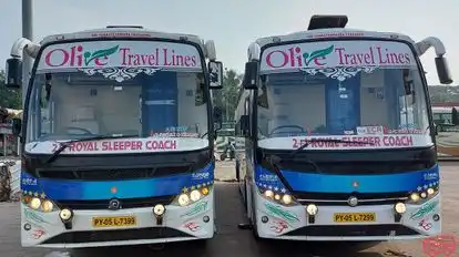 olive travel lines Bus-Front Image