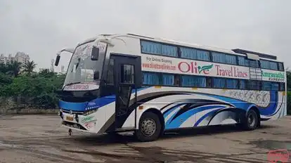 OLIVE TRAVELS LINES Bus-Side Image