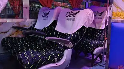 Olive Travels Lines Bus-Seats Image