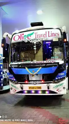 olive travel lines Bus-Front Image