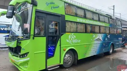 Olive Travels Lines Bus-Side Image