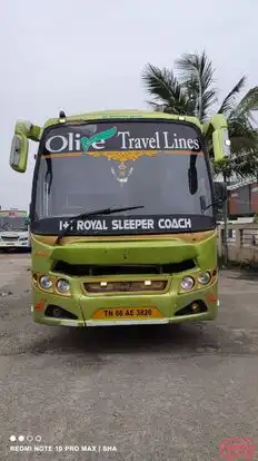 OLIVE TRAVELS LINES Bus-Front Image