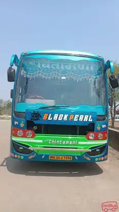 sarswati travels Bus-Front Image