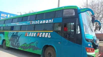 sarswati travels Bus-Side Image
