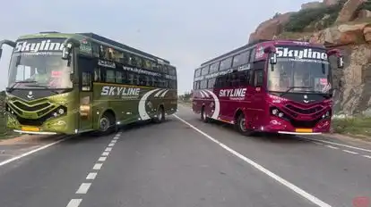 Skyline Transport Bus-Front Image