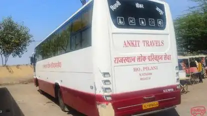 Ankit Travels Bus-Side Image
