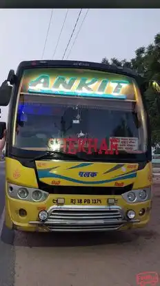 Ankit Travels Bus-Front Image