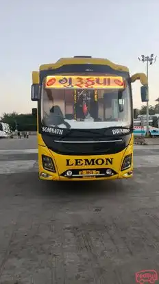 Gurukrupa Travels Bus-Front Image