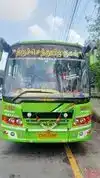 THIRUCHENDUR MURUGAN TRAVELS Bus-Front Image