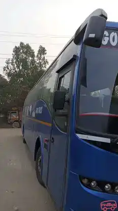 Go Bus Service Bus-Side Image