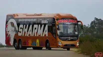 SHARMA TRANSPORTS Bus-Front Image