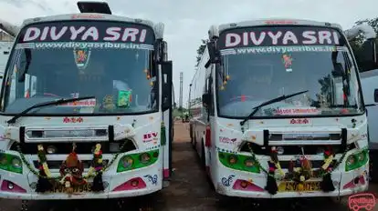 DivyaSri Bus  Bus-Front Image