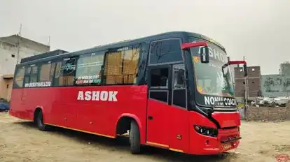 Big Bus  Bus-Side Image