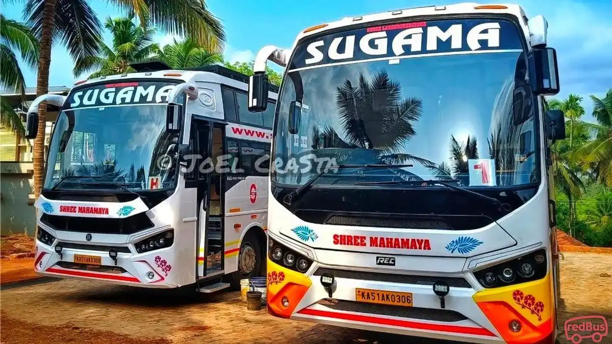 Sugama Tourist Bus-Front Image