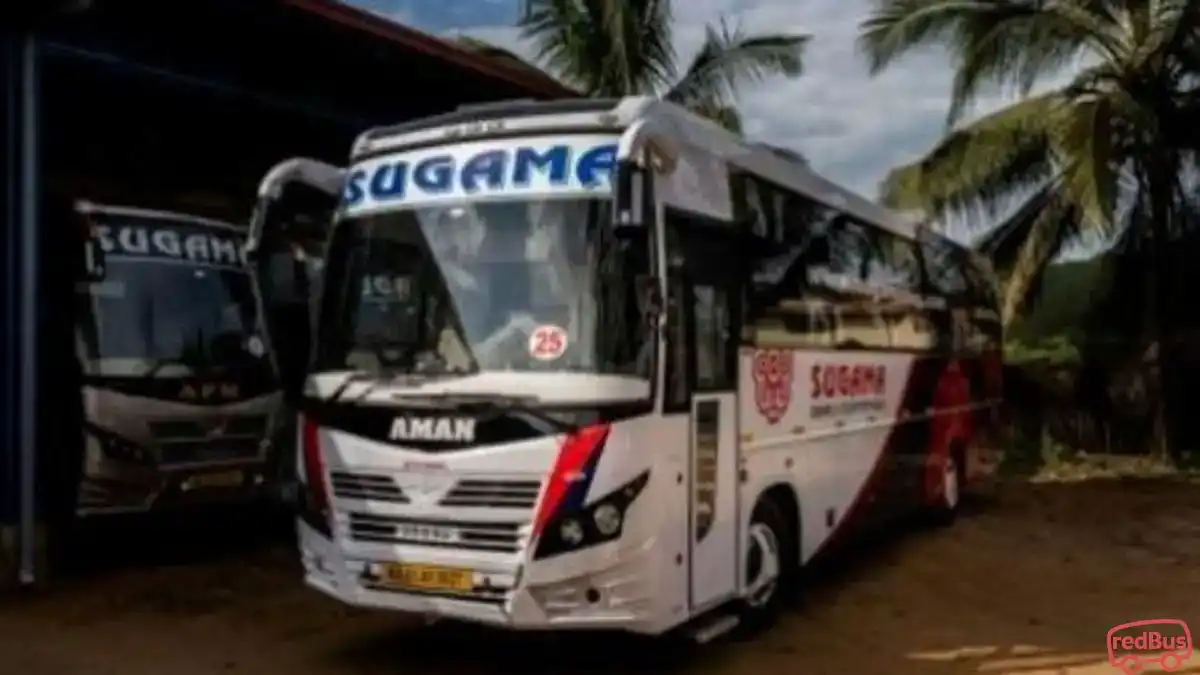 Sugama Tourist Bus-Front Image