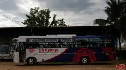 Sugama  Tourist Bus-Side Image