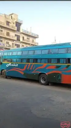 Shri Ankit Travels Bus-Side Image
