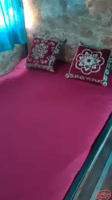 Shri Ankit Travels Bus-Seats Image