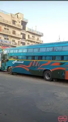 Shri Ankit Travels Bus-Side Image