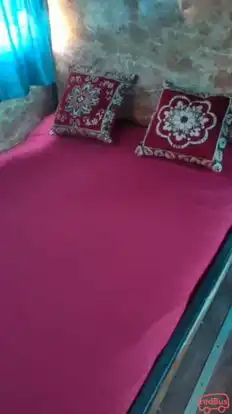 Shri Ankit Travels Bus-Seats Image