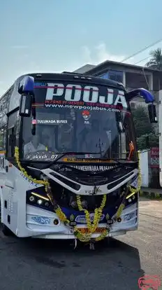 New Pooja Travels BRP Bus-Side Image