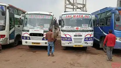 Sai Travels Rewa Bus-Front Image