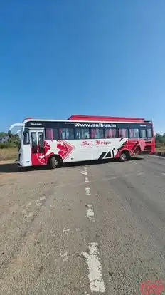 Sai Travels Rewa Bus-Side Image