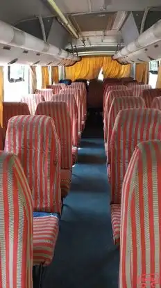 Shree Shyam Baba Travels  Bus-Seats layout Image