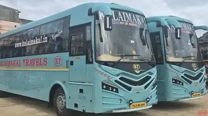 Kalaimakal Travelss Bus-Side Image