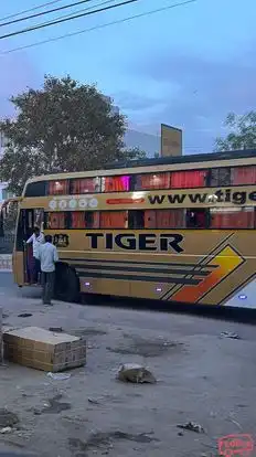 Tiger Travels Bus-Side Image