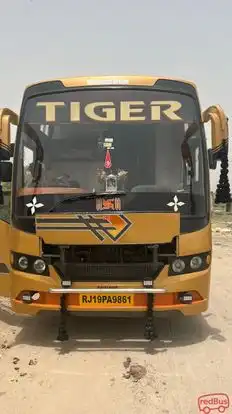 Tiger Travels Bus-Front Image