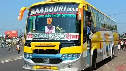 Arunita Paribahan Bus-Front Image