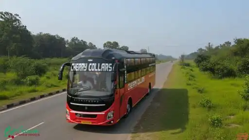 Cherry Collars Bus-Front Image