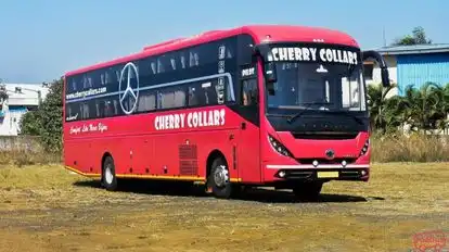 Cherry Collars Bus-Front Image