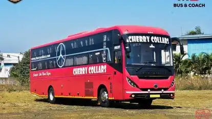 Cherry Collars Bus-Front Image