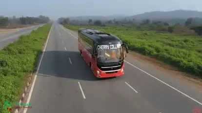 Cherry Collars Bus-Front Image