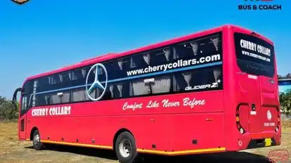 Cherry Collars Bus-Side Image