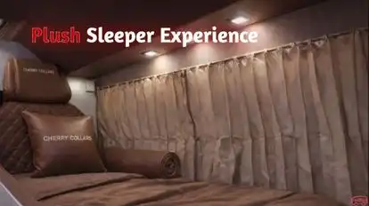 Cherry Collars Bus-Seats Image