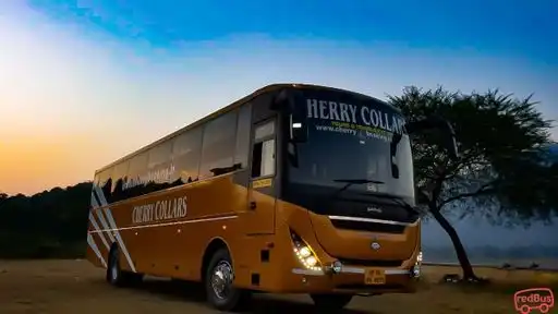 Cherry Collars Bus-Front Image