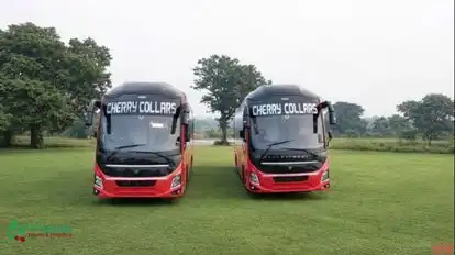 Cherry Collars Bus-Front Image