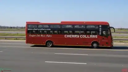 Cherry Collars Bus-Side Image