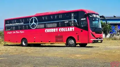 Cherry Collars Bus-Side Image