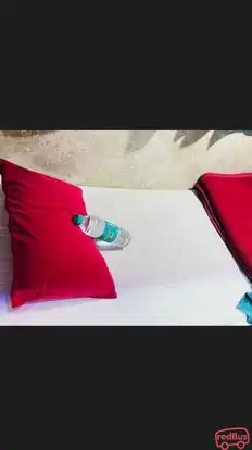 MP Star Transport Company Bus-Seats Image