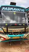 Padmavathi Travels  Bus-Front Image