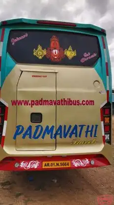 Padmavathi Travels  Bus-Seats layout Image